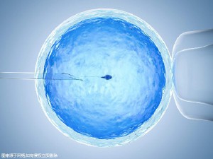本院简介